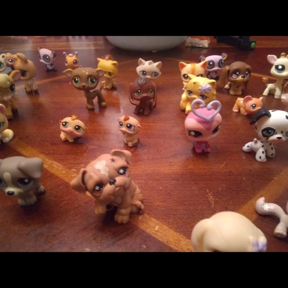 Vintage my little pet shop - Picture 8 of 8